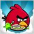  angry birds
